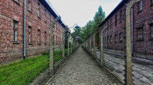 Walkway with old barbed wire and prison barracks on either side 