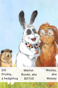 Illustrated picture showing Marlon Bundle, his fiancee Wesley and their friend Dill Prickles, a hedgehog
