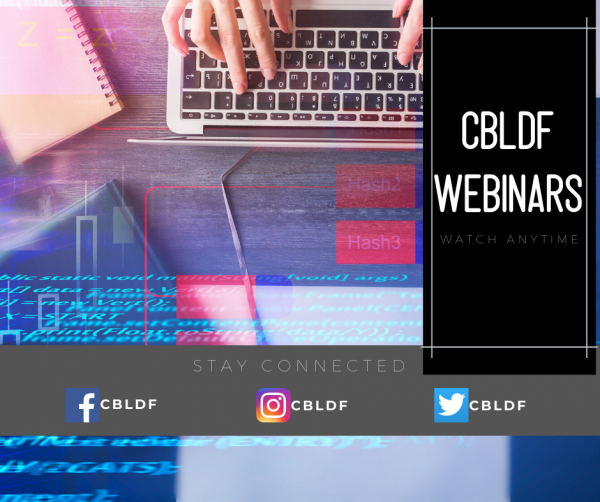 CBLDF Webinars stay Connected